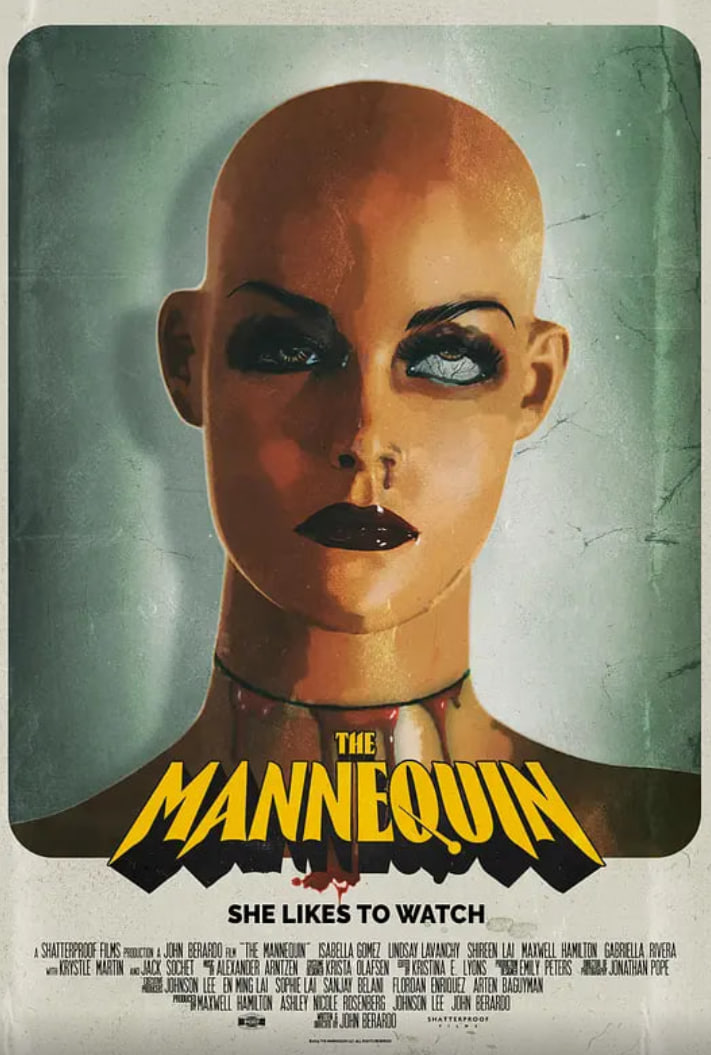 人体模型封面图