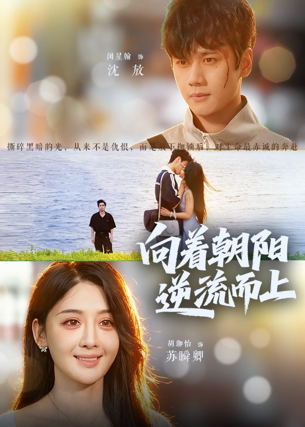 向着朝阳逆流而上封面图