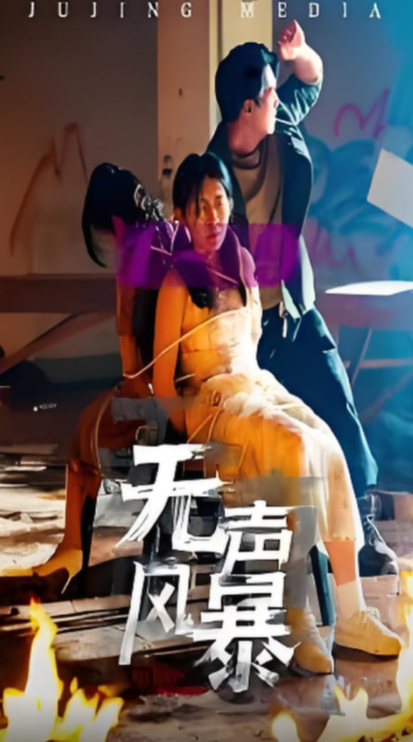 无声风暴封面图