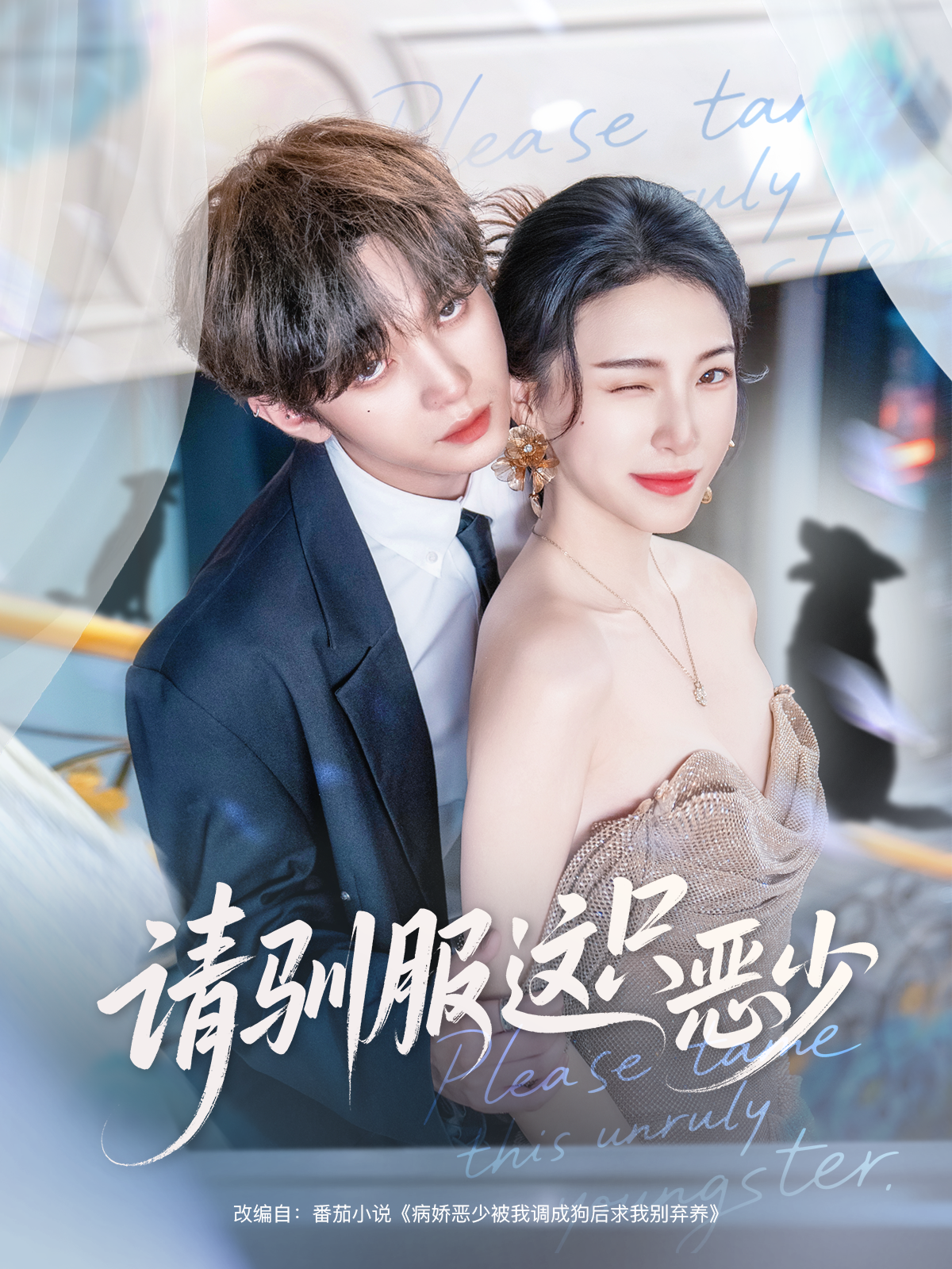 请驯服这只恶少封面图