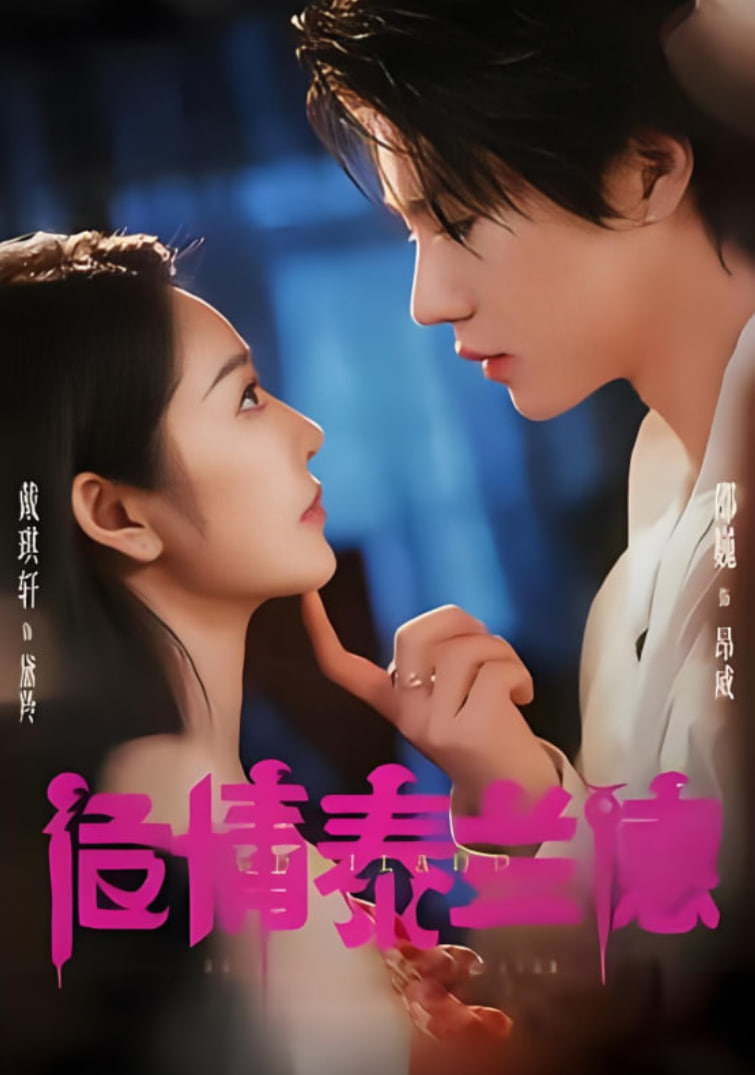 危情泰兰德 2025封面图